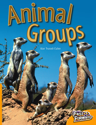 Animal Groups: Fast Forward