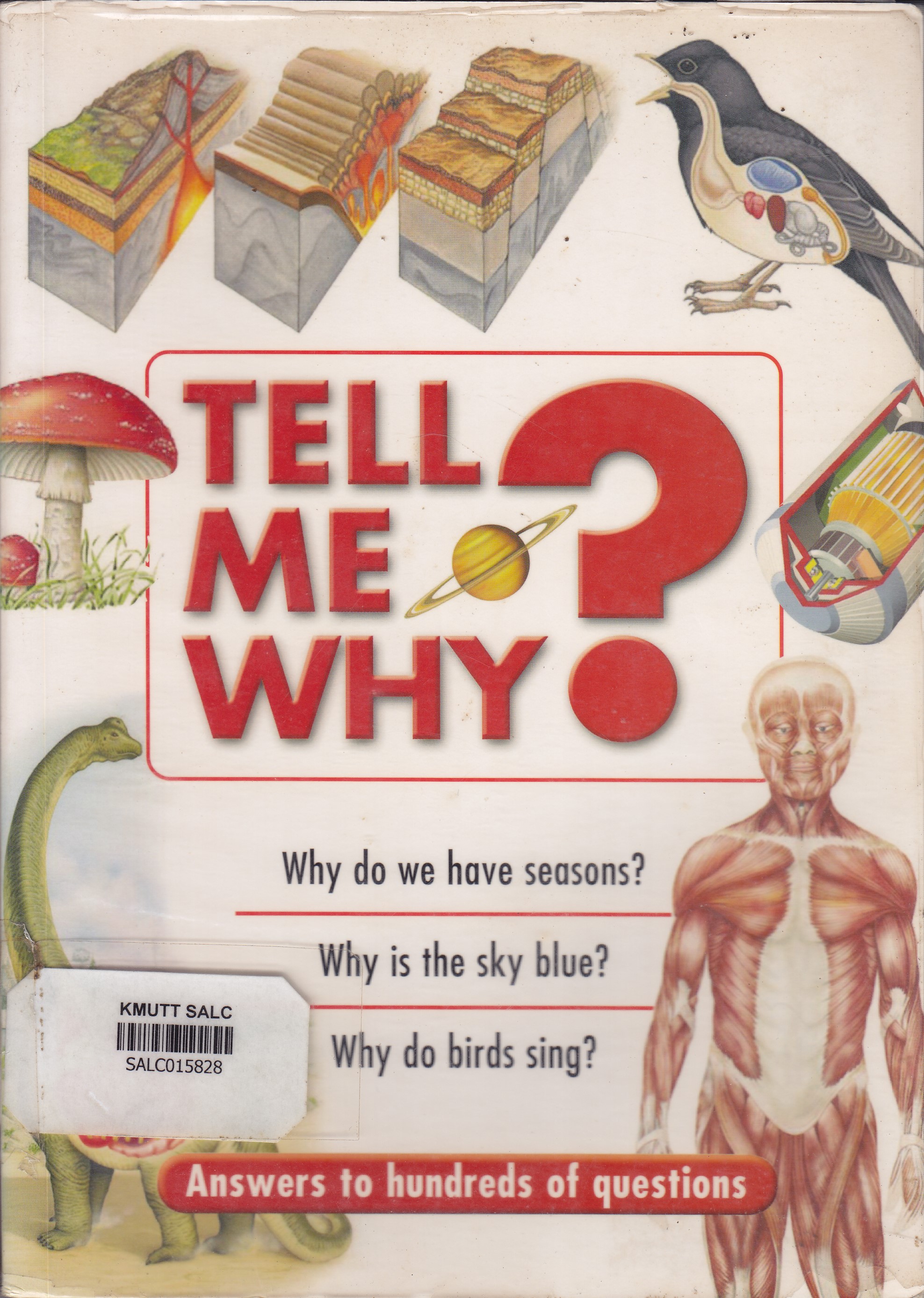 Tell Me Why(REF107.4)