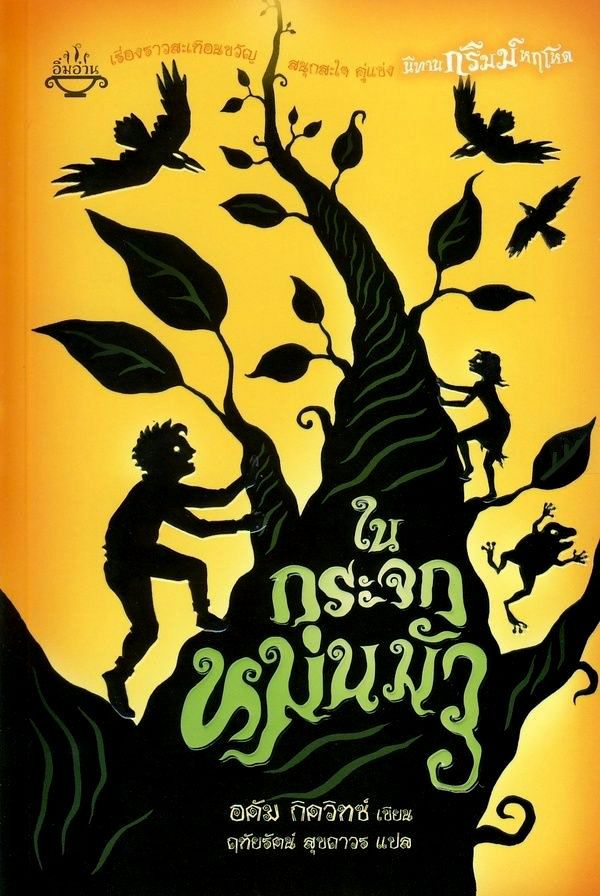 นิทานกริมม์หฤโหด ตอน ในกระจกหม่นมัว (เล่ม 2)