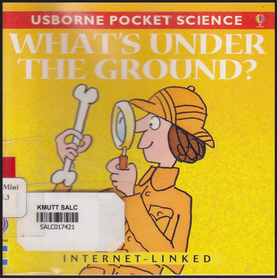 What's under the ground?:  Usborne Pocket Science