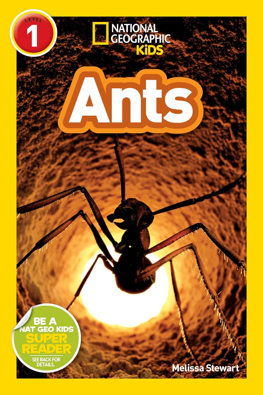 Ants : National Geographic Kids (Level 1)