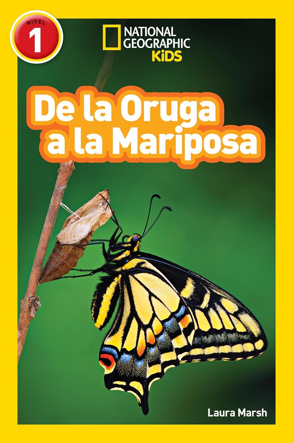 Caterpillar to Butterfly : National Geographic Kids (Level 1)