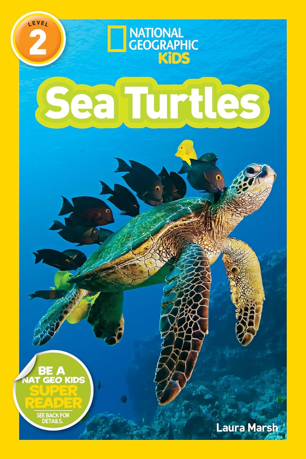 Sea Turtles : National Geographic Kids (Level 2)