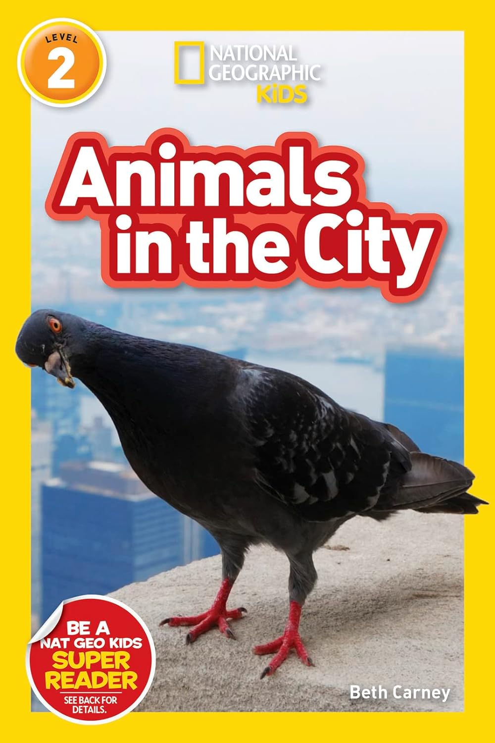 Animals in the City : National Geographic Kids (Level 2)