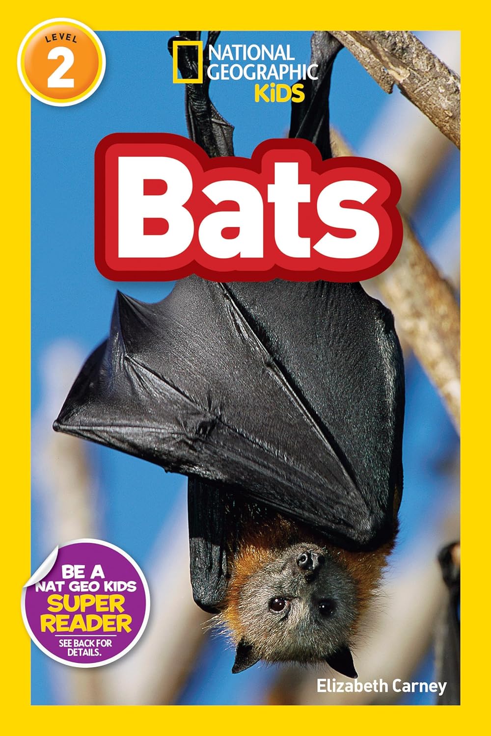 Bats : National Geographic Kids (Level 2)