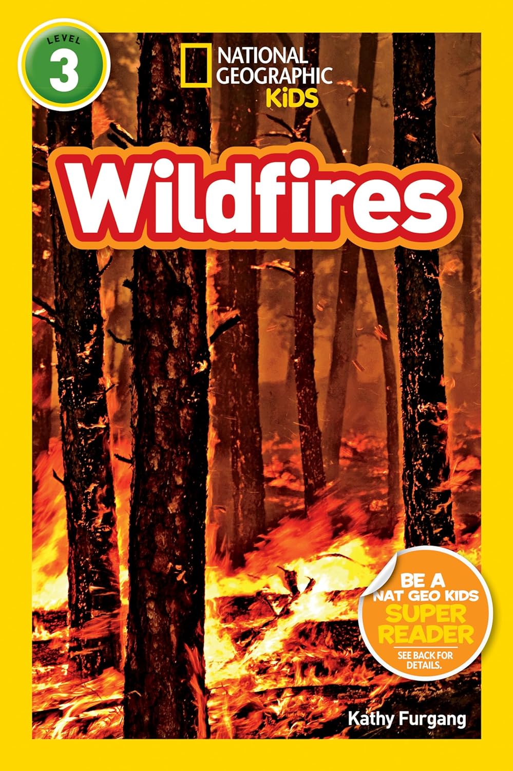 Wildfires : National Geographic Kids (Level 3)