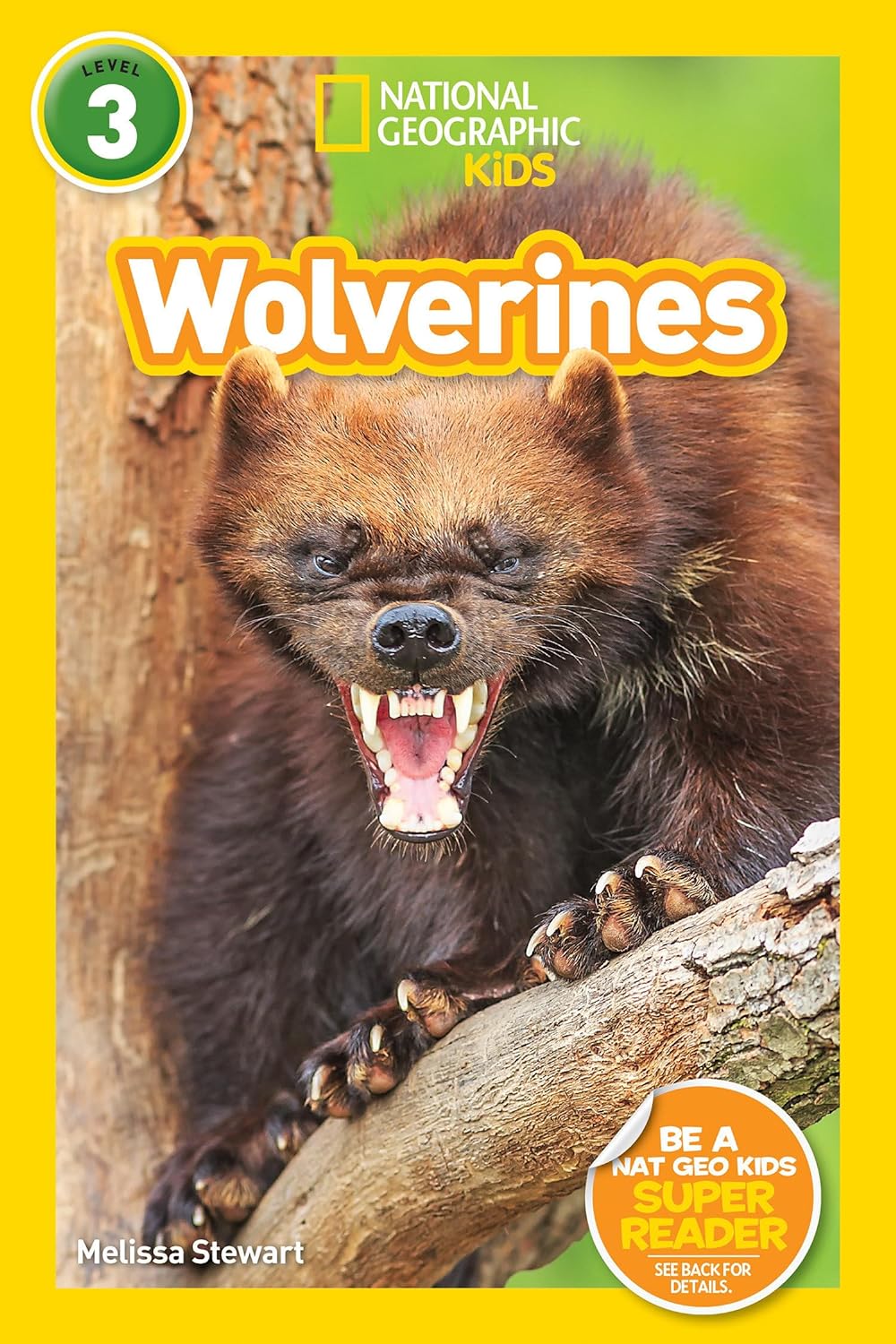 Wolverines : National Geographic Kids (Level 3)