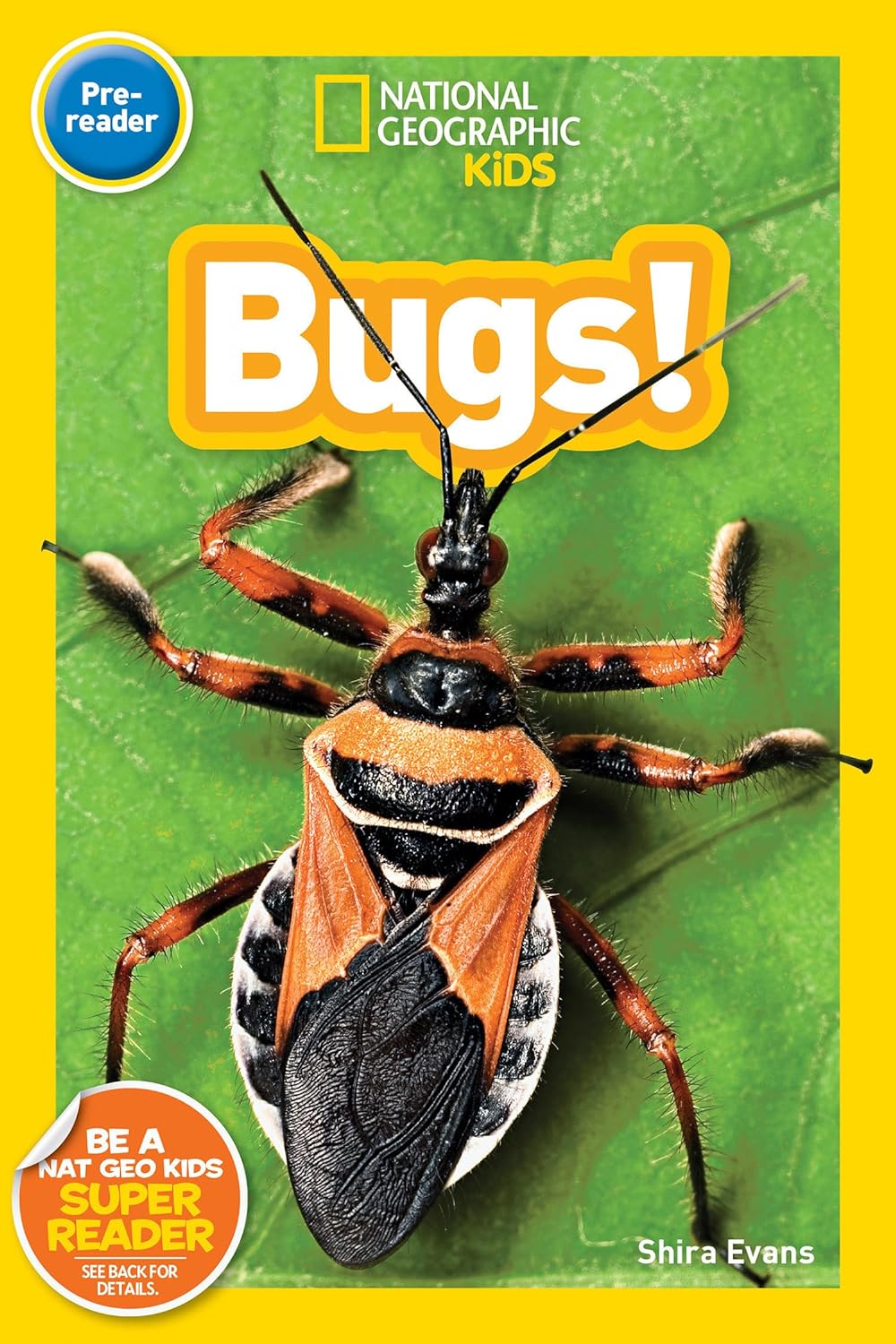 Bugs : National Geographic Kids (Pre-reader)