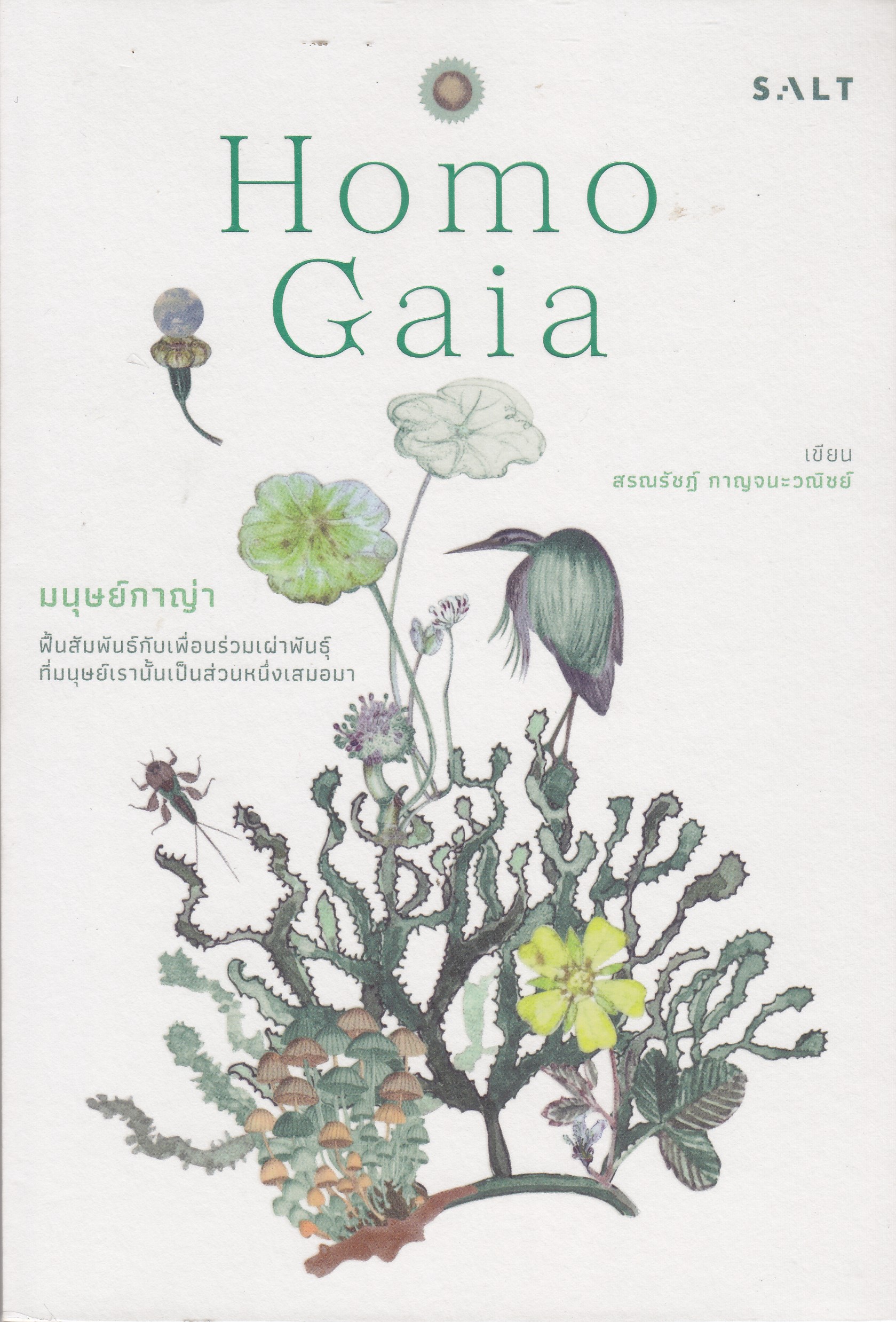 Homo Gaia มนุษย์กาญ่า