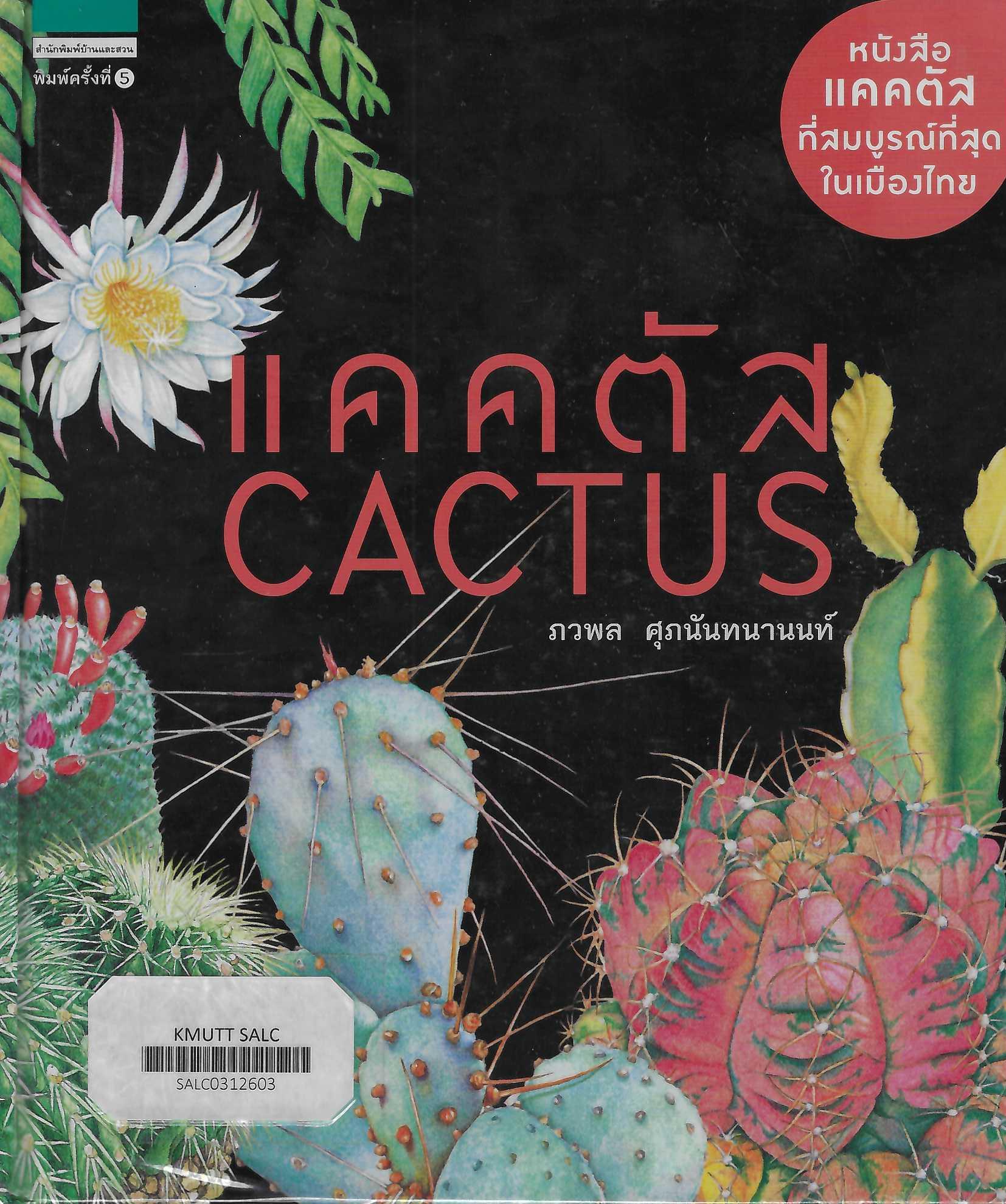 แคคตัส Cactus