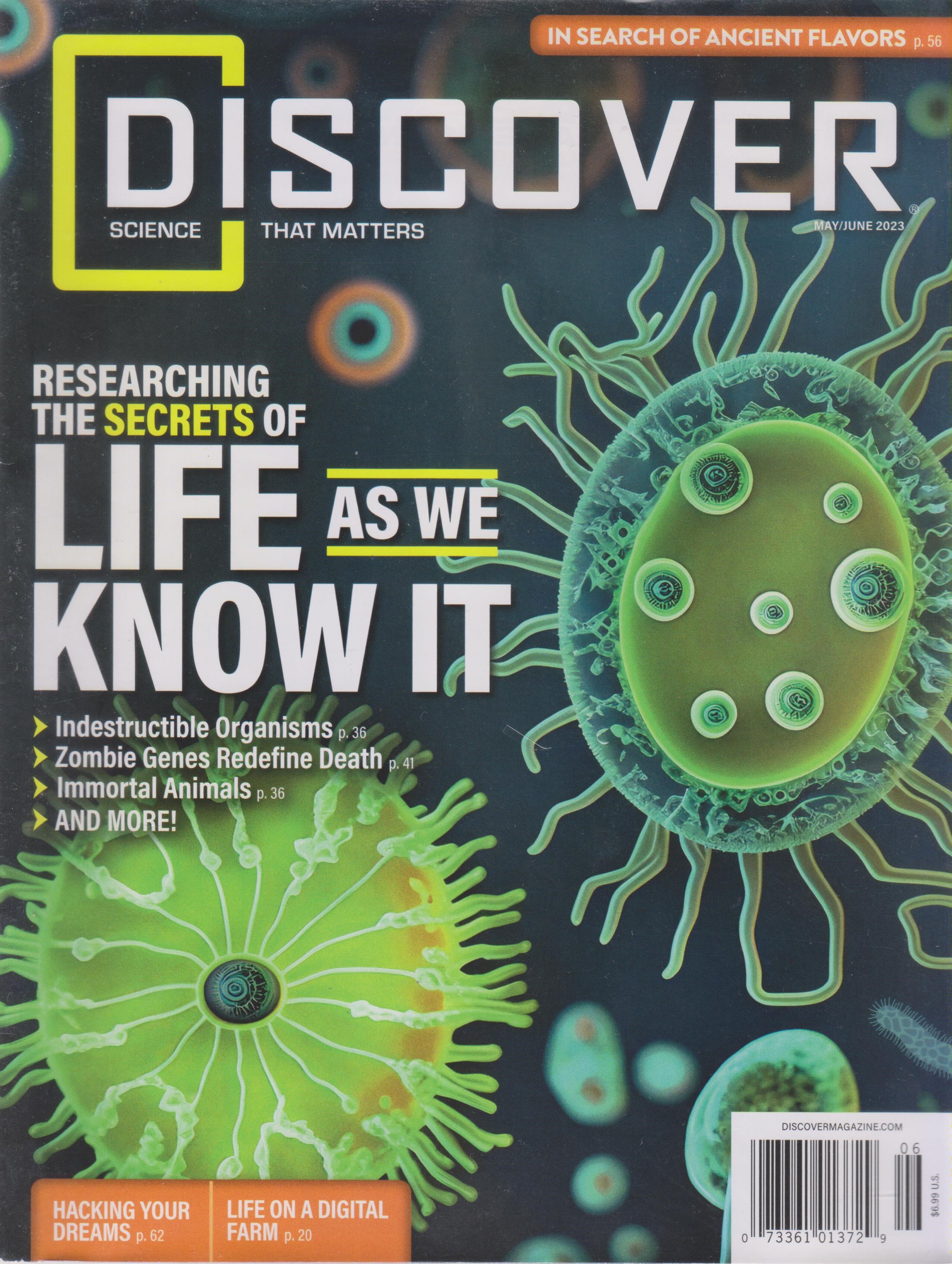 Discover V.English 