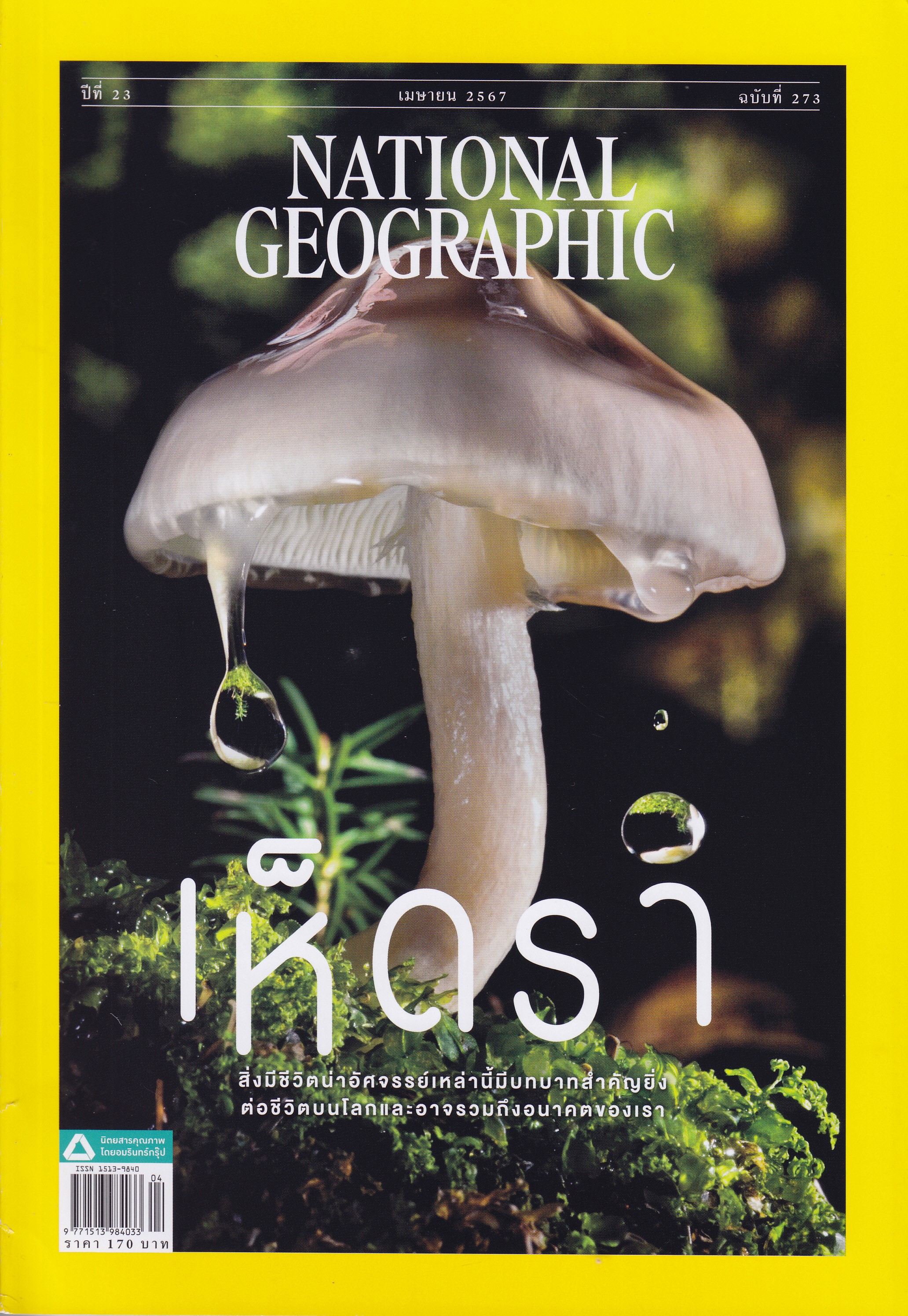 National Geographic V.Thai