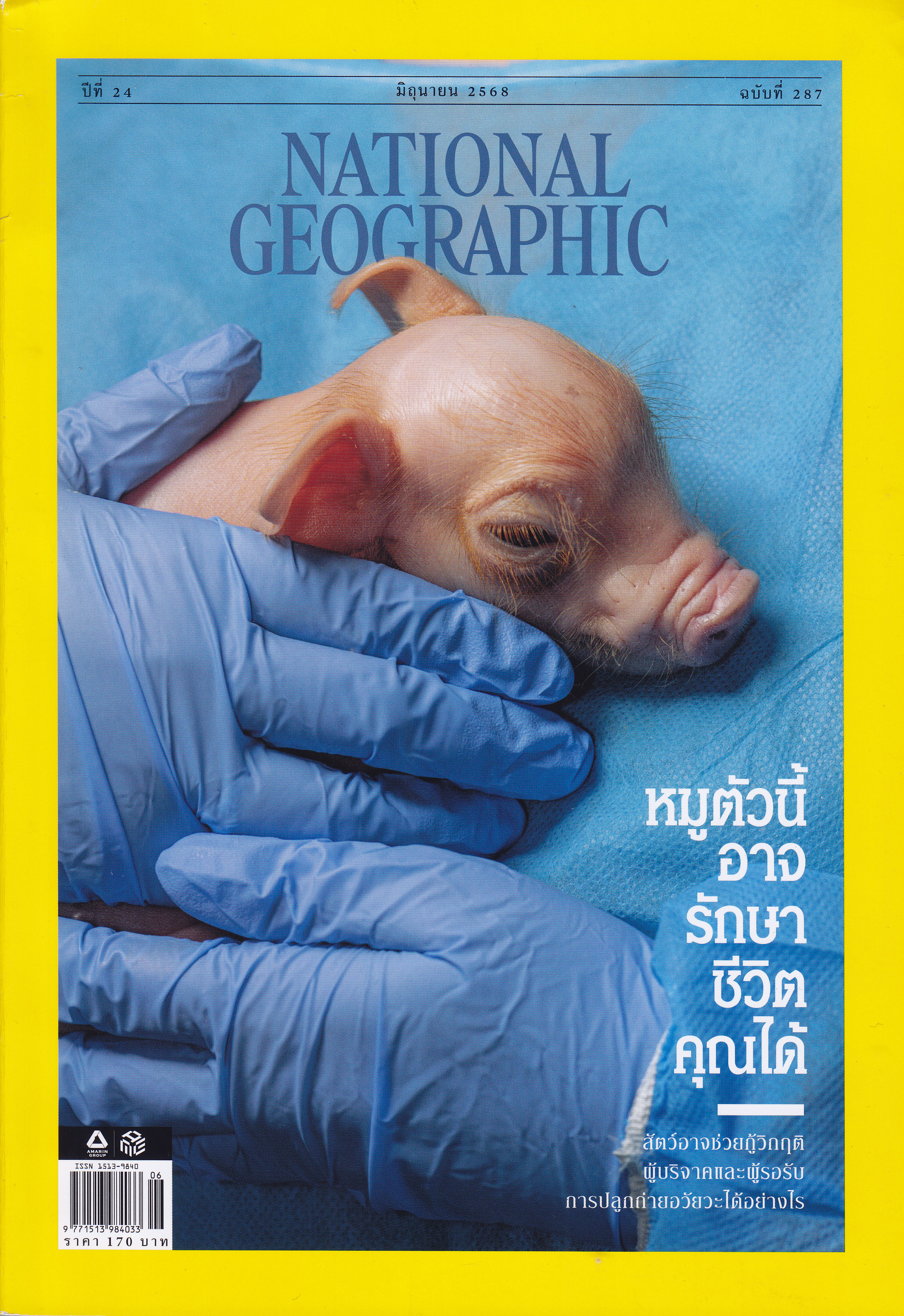 National Geographic V.Thai
