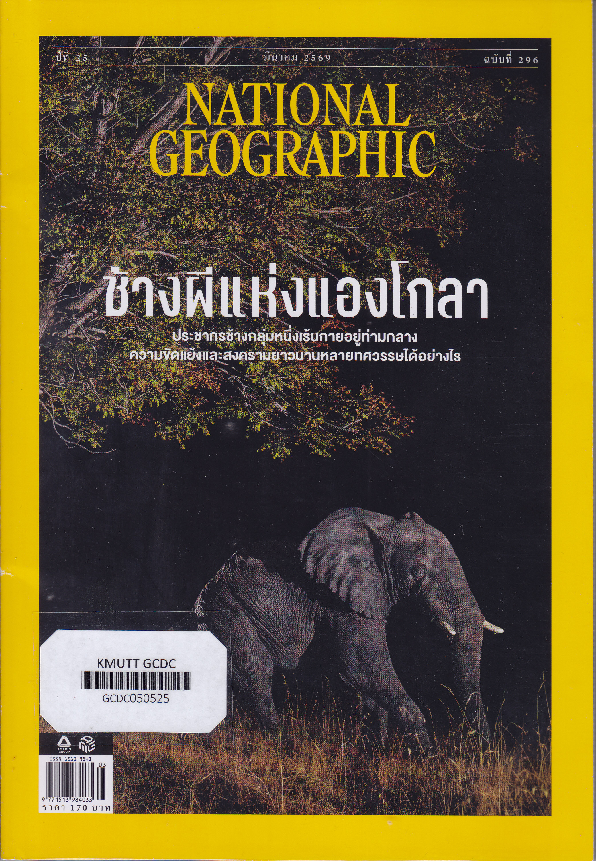 ช้างผีแห่งแองโกลา
