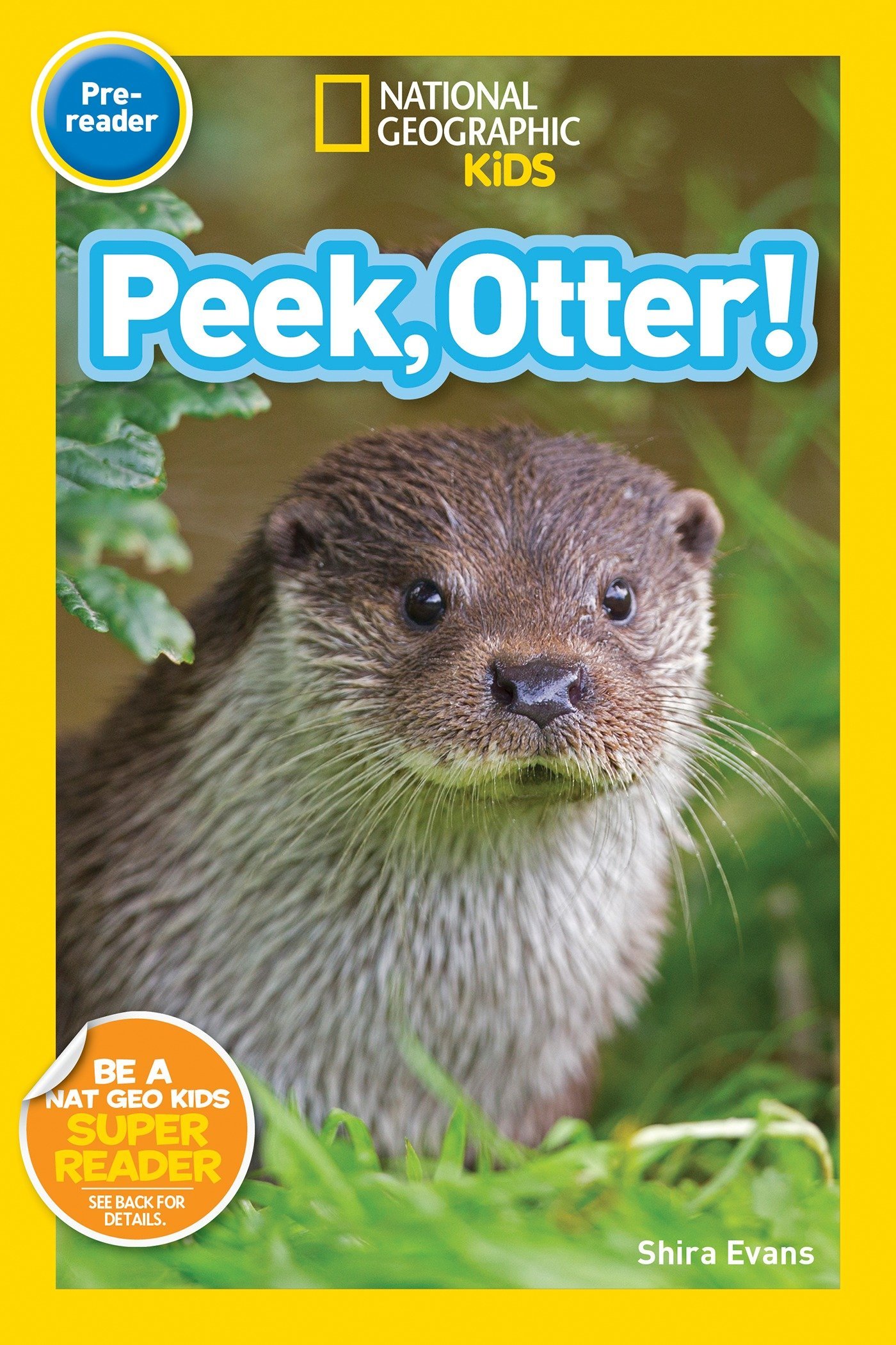 Peek, Otter : National Geographic Kids (Pre-reader)