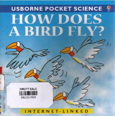 How does a bird fly ?: Usborne Pocket Science