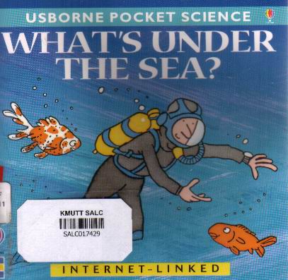 What's under the sea?:  Usborne Pocket Science