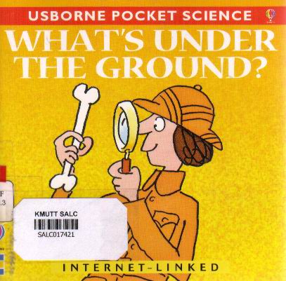 What's under the ground?:  Usborne Pocket Science